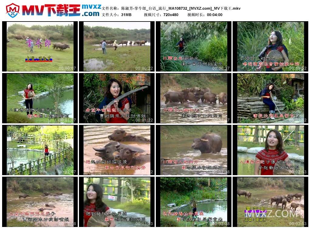 陈淑芳-掌牛郎_台语_流行_MA108732